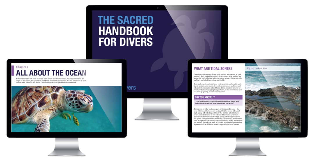 Marine Biology course for scuba divers Writing and Graphic design