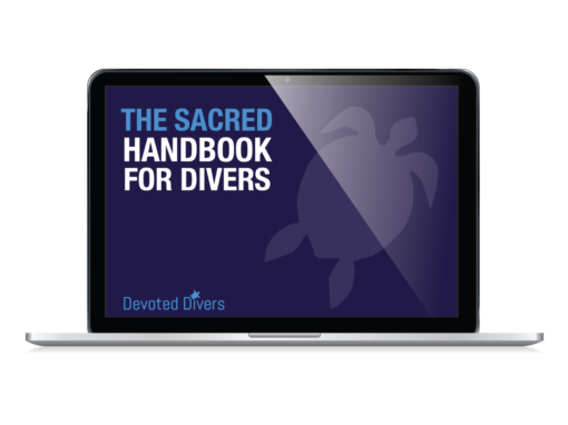 Marine Biology course for scuba divers