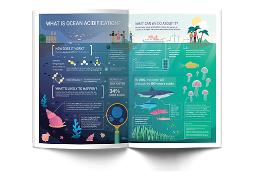 Ocean Acidification Infographic