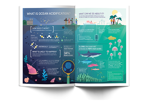 Infographic Ocean acidification | Science communication & Graphic design